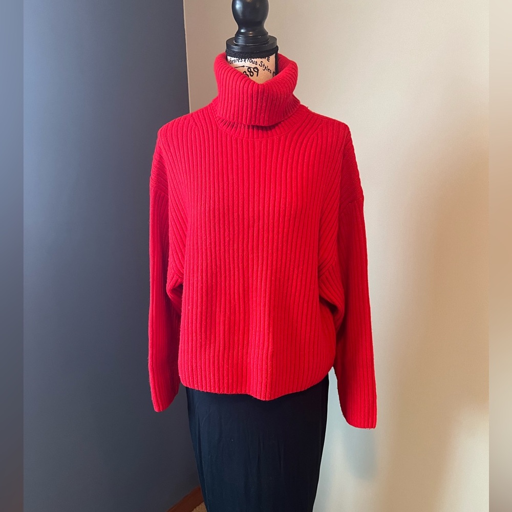 H&M Turtleneck Sweater